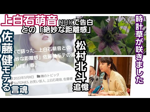 Confessing an "exquisite distance" with Mone Kamishiraishi on NHK... Memories of Takeru Satoh's p...
