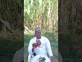 Zama DA Magani Series #viralshortvideo #viralvideo #newyork #chad #kannywood #kannywoodseriestv