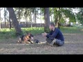 Охрана вещи. Начальный тренинг.