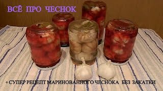 РАКОВЫЕ КЛЕТКИ В НОКАУТЕ ВКУСНЫЙ МАРИНОВАННЫЙ ЧЕСНОК ПП ЗОЖ ЗАСОЛКА ЧЕСНОКА ПОЛЬЗА ВРЕД ХИМ СОСТАВ РАКОВЫЕ КЛЕТКИ В НОКАУТЕ ВКУСНЫЙ МАРИНОВАННЫЙ ЧЕСНОК ПП ЗОЖ ЗАСОЛКА ЧЕСНОКА ПОЛЬЗА ВРЕД ХИМ СОСТАВ