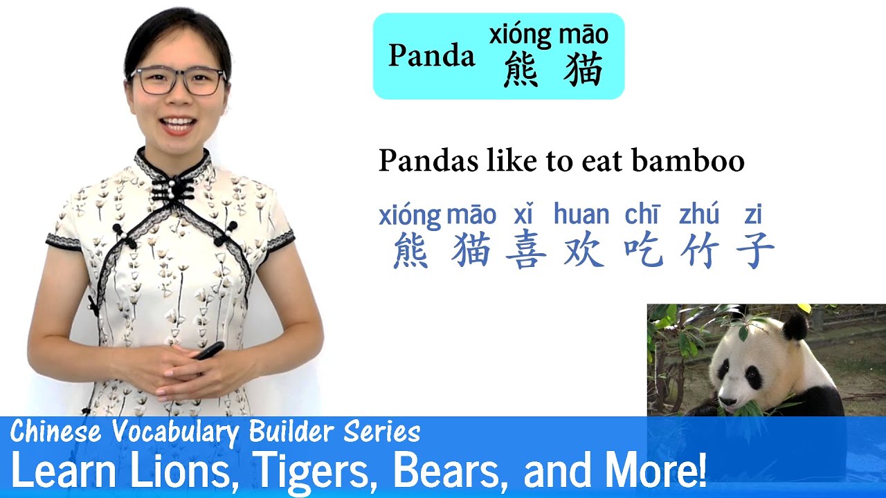 Learn Lions, Tigers, Bears, and More in Chinese | Vocab Lesson 31 | Chinese Vocabulary Series