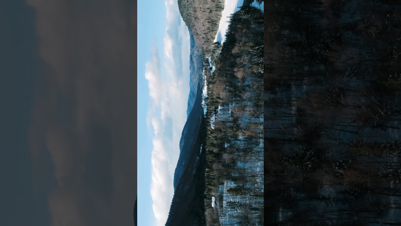 Horizontal Shorts | Nature Witer 