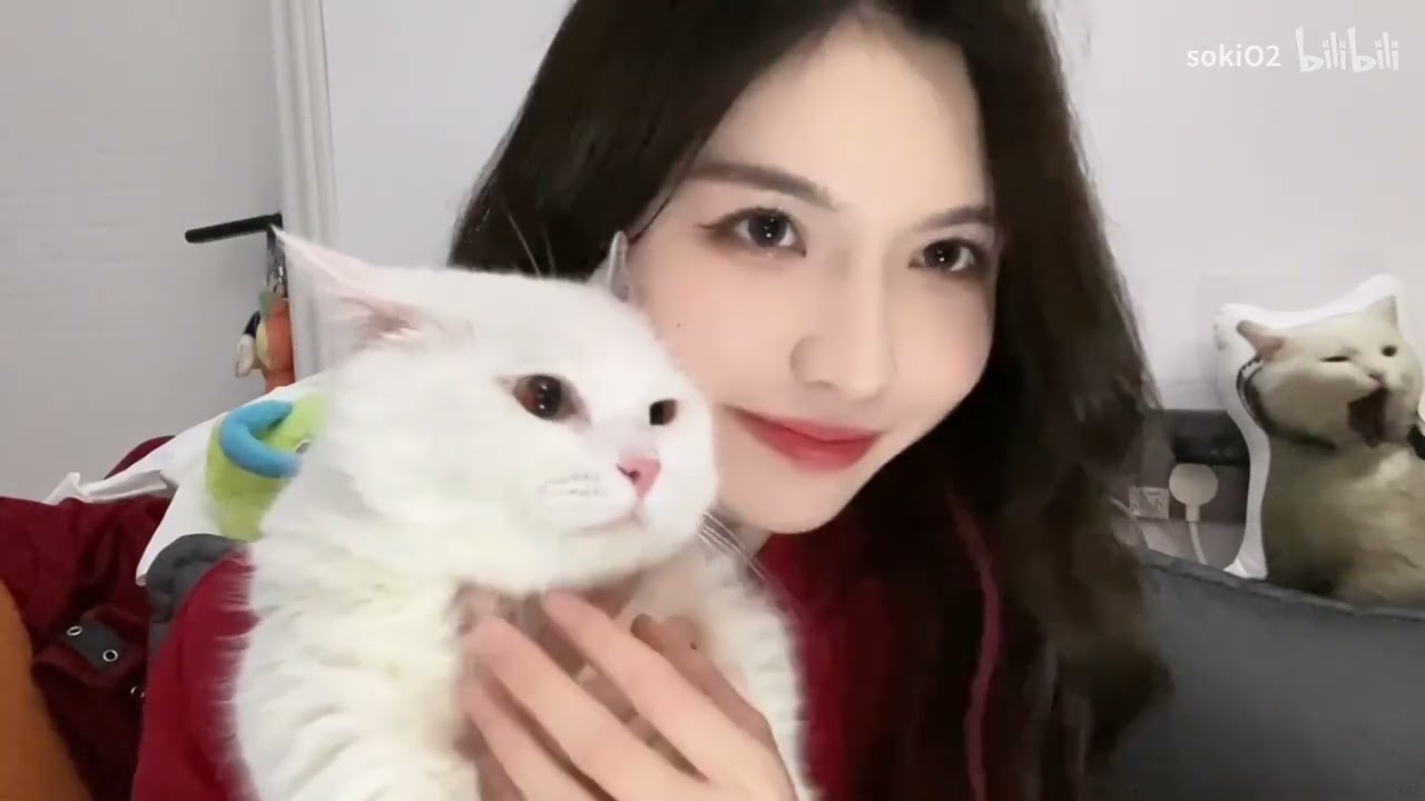 [VIETSUB] Diệp Thư Kỳ  | Vlog Q&A