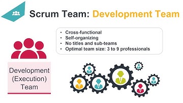 Scrum Roles: Development Team. Agile project management