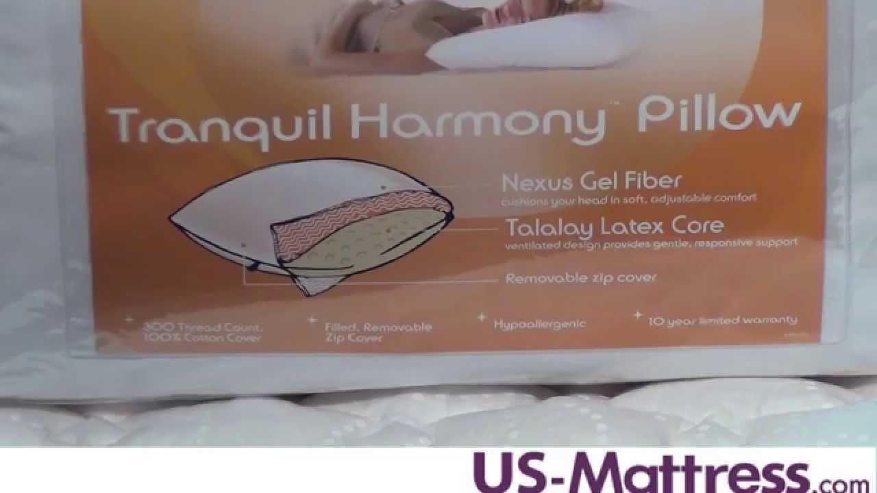 Core Sleep Tranquil Harmony PillowinPillow by Pacific Coast Feather