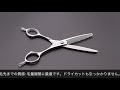 光/ヒカリ/HIKARI・Lucis 746（カット率25%）