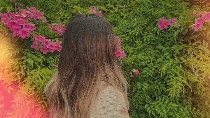 April West - Corazn de Papel [Visualizer]