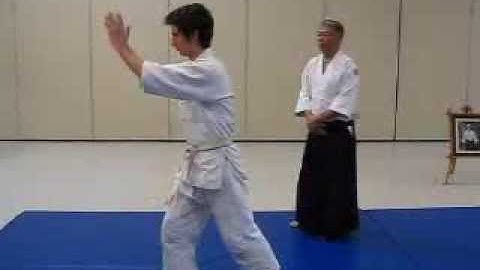 Happo Undo - AAA 5th Kyu Ki Test and Exercise