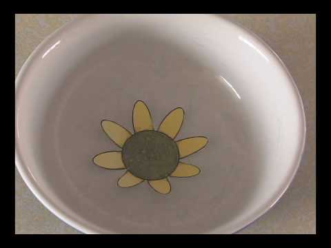 Make A Blooming Paper Flower!