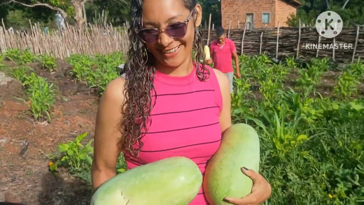 FOMOS FAZER A PRIMEIRA COLHEITA DA ROCINHA 😊