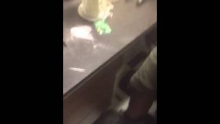 Fisher Snorting A Line Of Creatine