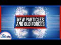 We Found Evidence of a Brand-New Particle | Space News