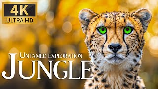 Untamed Exploration Jungle 4K 🦁 Relaxing Animals Documentary With Calm Piano Music & Nature Movie