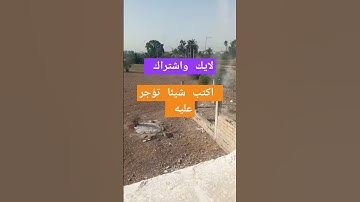 يوم جميل  / تلاوة ما شاء الله تبارك الرحمان / #اكسبلور  تابع وانشر تؤجر