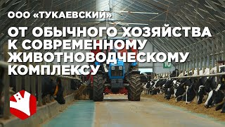 Путь к современному молочному комплексу | Молочное скотоводство