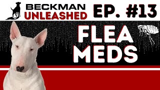 Problems with Flea Medication, Bull Terriers & Fatherhood