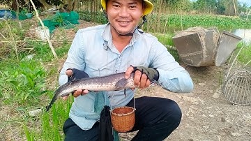 Câu cá rô đồng, thác lác.chuyến câu xa cùng những thánh bào và những con kênh đầy cá.