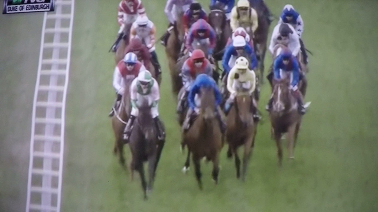 DUKE OF EDINBURGH  2017 - RARE RHYTHUM !!!