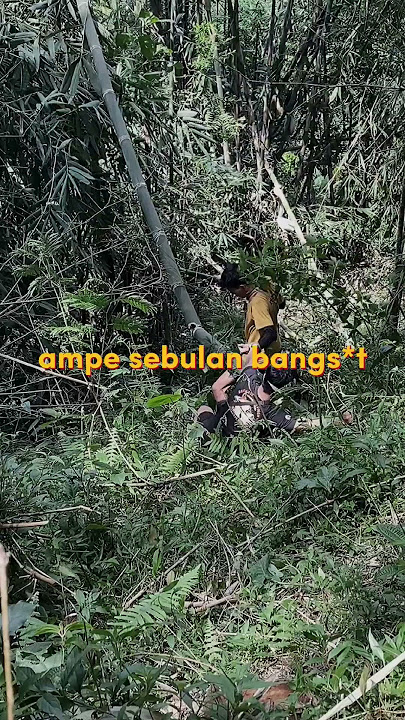 Kann jadi hamilll .wkwkw. | kemana kita | #memes #memengakakkocak #trending #beranda