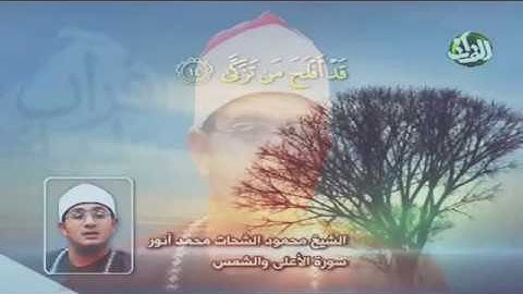 القرآن الكريم. . القارئ محمود الشحات. سورة الشمس