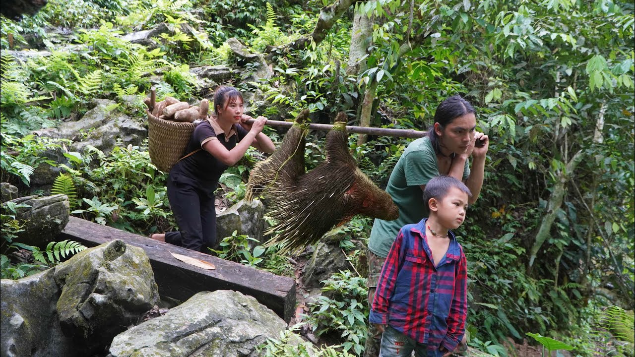 how to set hedgehog traps, harvest ducks and sell chickens at the market, farm life
