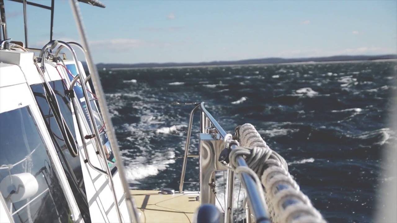 Port Stephens Whale Watching - Imagine Cruises // Ep 6 - YouTube