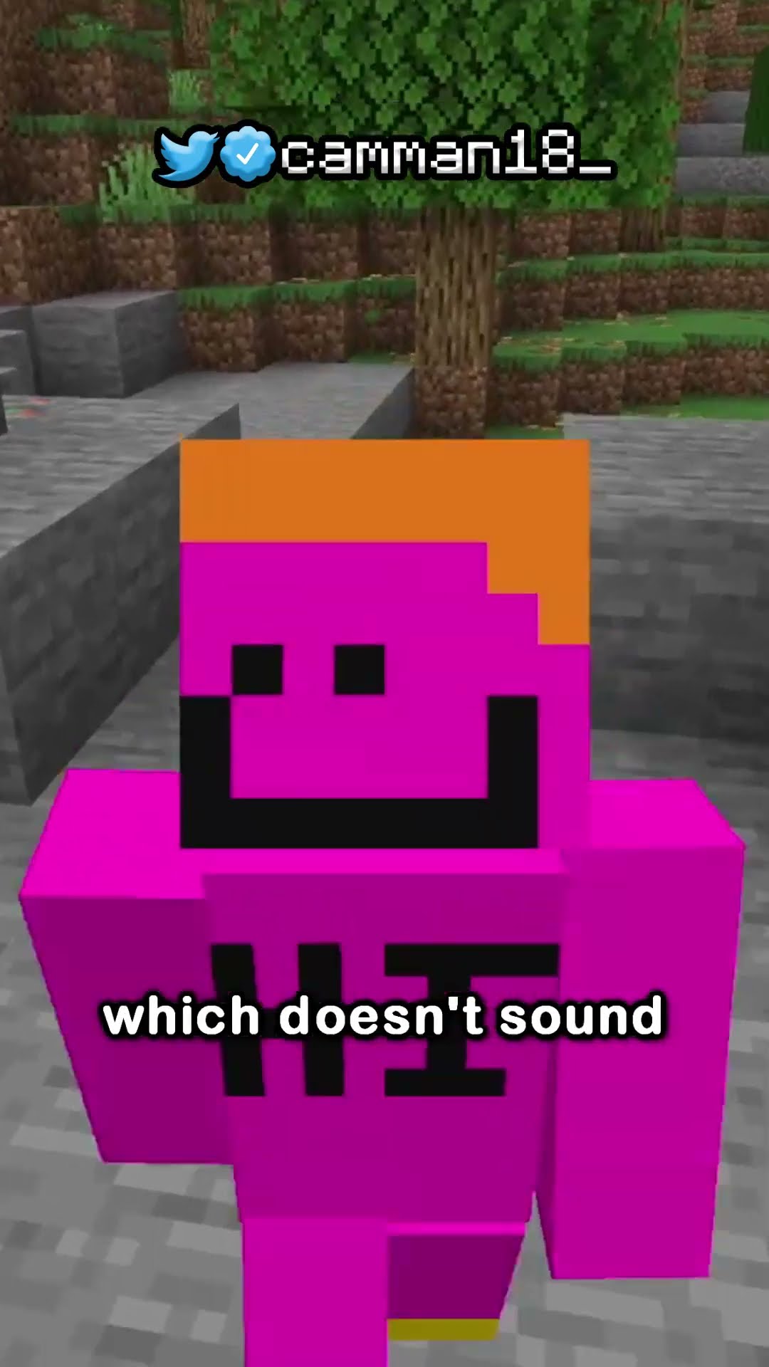 the NEW best fuel in Minecraft