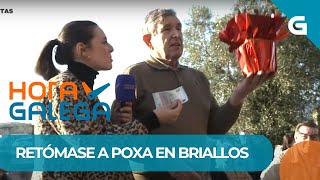 🪻📚 Na POXA da ROMARÍA de SAN BRAIS de BRIALLOS hai de todo: CARNE, PLANTAS e ata MATERIAL ESCOLAR!