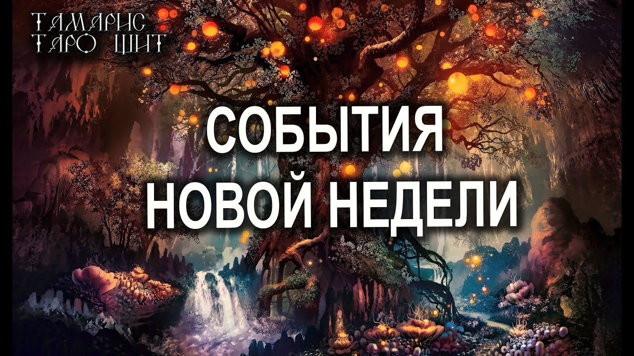 Тамарис таро щит последние расклады