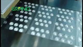 Dpp-260 Pill Blister Packing Machine With Camera Detecting Device