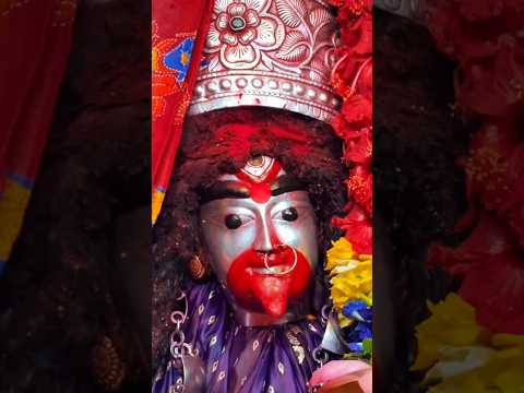 Maa Tara Live Darshan | Tarapith #shortsfeed #fyp #viralshorts #ytshorts #tarapith #maa
