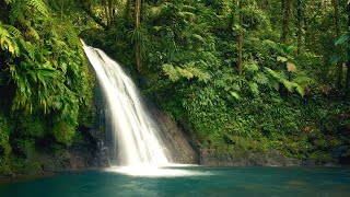 Calming Music With Waterfall