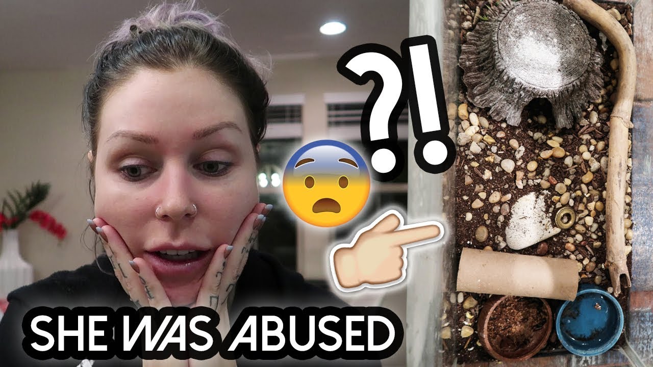 We Rescued Her | KristenLeanneVlog