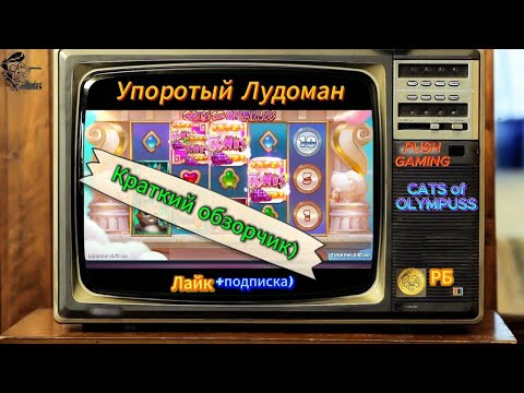 Узнайте правила покера для начинающих и окунитесь в мир онлайн-казино