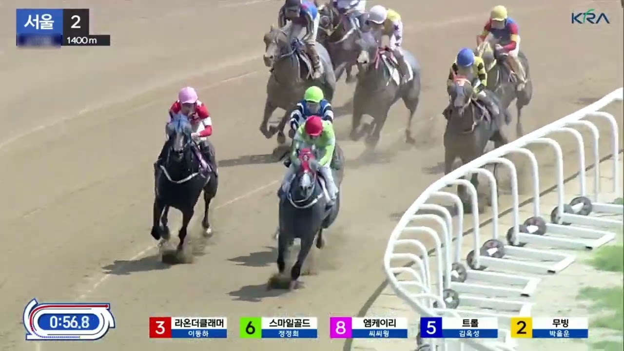 초보운전 렛츠런파크 경마장 서울2경주 단승 연승 복승 쌍승 복연승 쌍복승 삼쌍승 기록 #2000