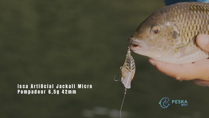 Bass fishing with Jackall Micro Pompadour 