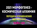 2021 МОРФОГЕНЕЗ - КОСМИЧЕСКАЯ АЛХИМИЯ ПЕРЕДАЧА ПЛЕЯДЕАНСКИХ  СВЕТЛЫХ СИЛ