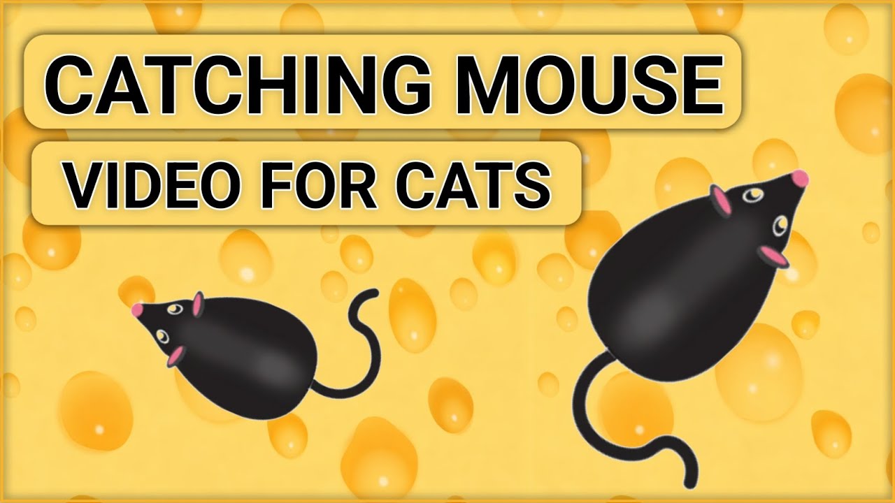 Catching Mouse Video for Cats 🐭😺 | Fun Cat Game on Screen | Cat games Lizard | cat games cockroach