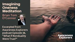 "Imagining Oneness" Meditation - from Awareness Explorers Episode 38