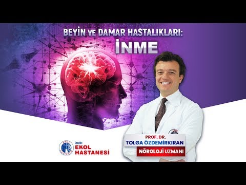 İzmir Ekol Hastanesi - Beyin Damarı Tıkanıklığı: İnme - Prof. Dr. Tolga Özdemirkıran