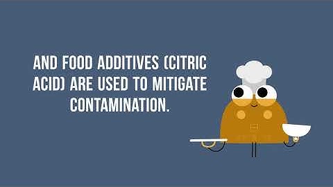 All About Aflatoxins