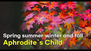 Aphrodite`s Child - Spring summer winter and fall(lyrics 번역가사)
