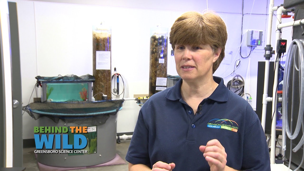 Behind the Wild A Day in the Water Quality Lab