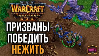ДРУИДЫ ВОРОНЫ НОВАЯ МЕТА ПРОТИВ НЕЖИТИ? в Warcraft 3 Reforged