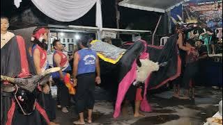 BANTENGAN MBEROT REOG GEMBONG BAWONO BAPAK JOHAN-MUNDER BARAT-YOSOWILANGUN-LUMAJANG LIVE IN KARANGLO