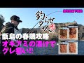 甑島の春磯攻略　オキアミの漬けでグレ狙い！！
