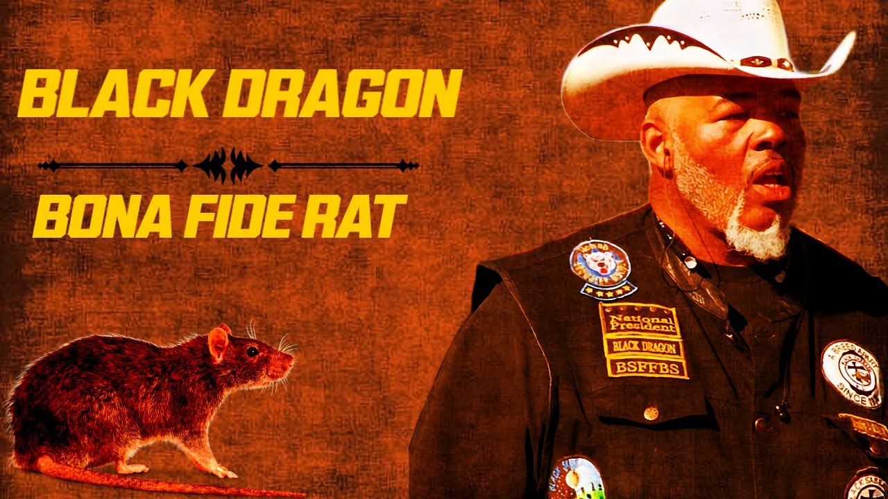 BLACK DRAGON BIKER TV BONA FIDE RAT
