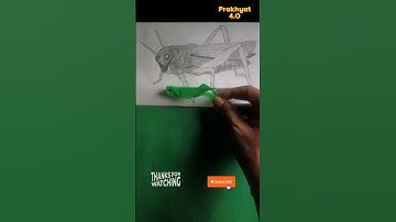 Oh! two Grasshoppers both of/on paper in different format || #art #craft #youtubeshorts