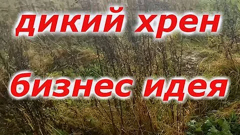 Дикий хрен как бизнес проект