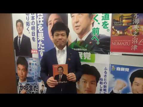 静岡4区衆議院補欠選挙